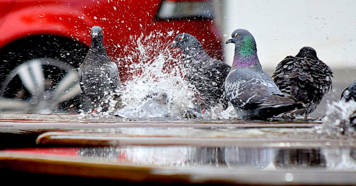 Crafting a Review That Highlights Exceptional Service