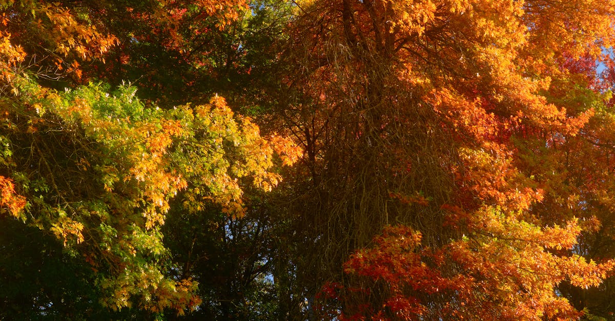 Customer Experiences: How Our Electricians Exceeded Expectations