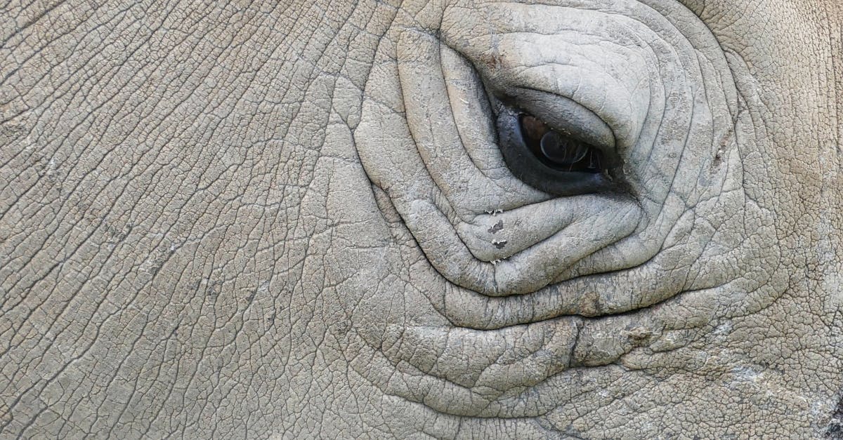 Essential Safety Training for Residential Electricians in Adelaide