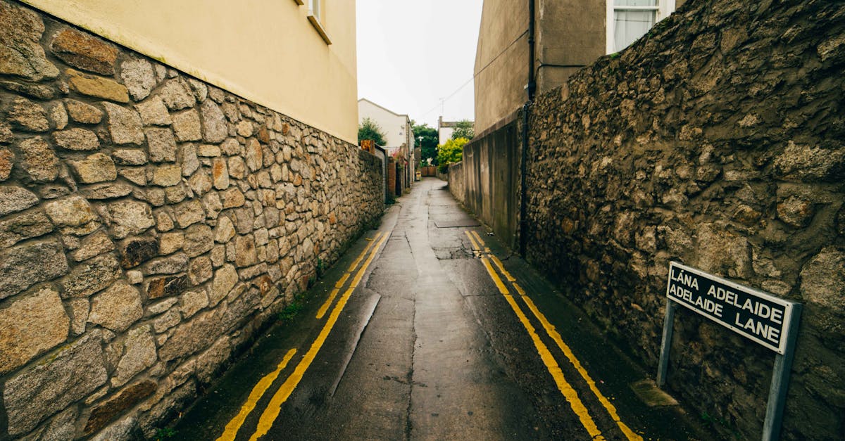 Exploring the Connection Between Customer Satisfaction and Service Quality