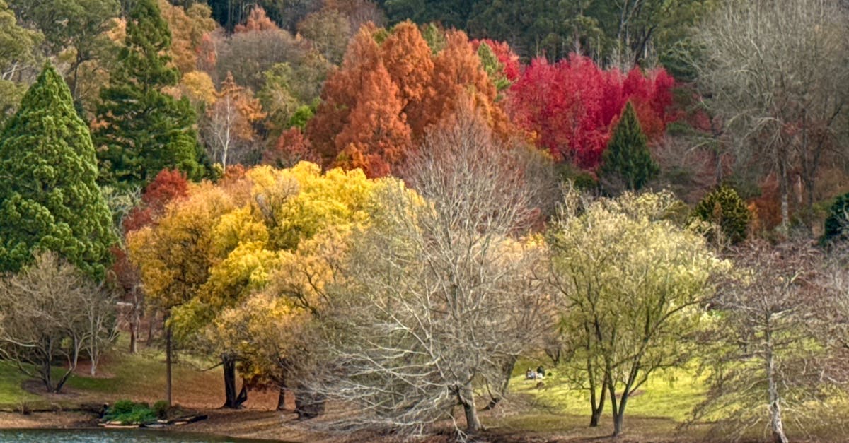 How to Maximise Natural Light in Your Home