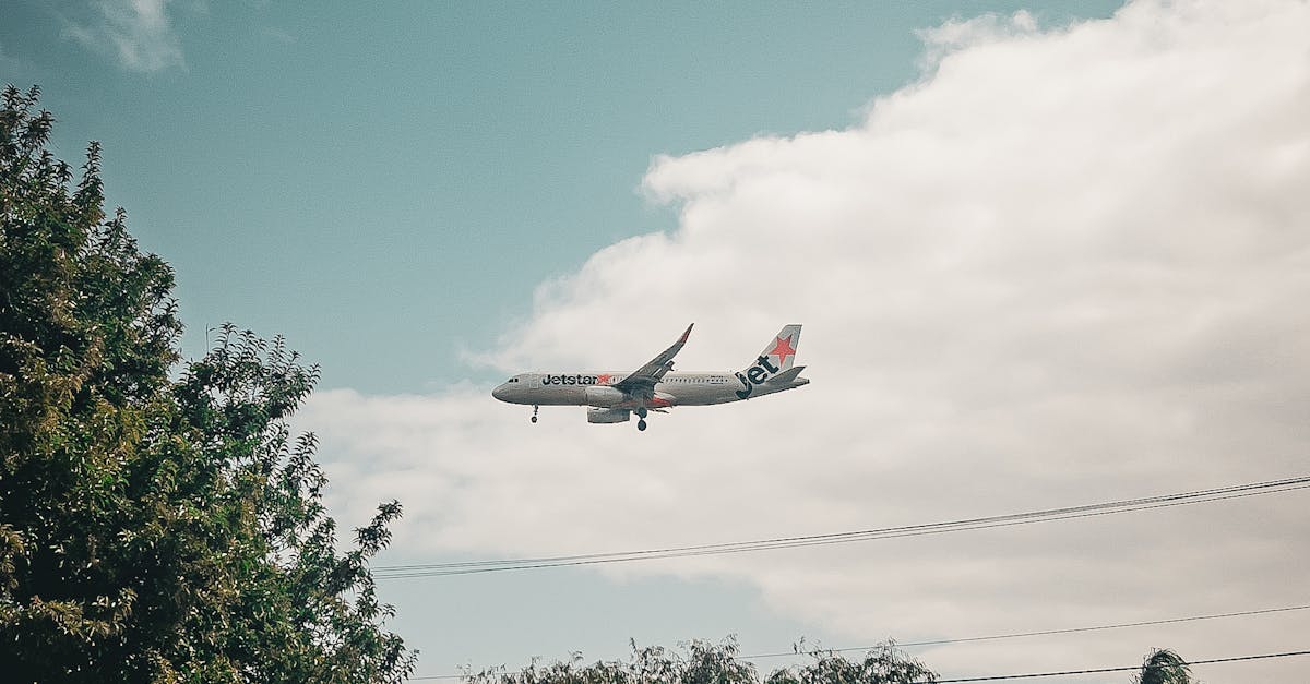 How to Recognise Outstanding Service in Your Review