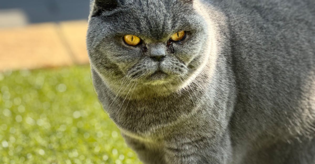 The Consequences of Ignoring Electrical Safety Inspections