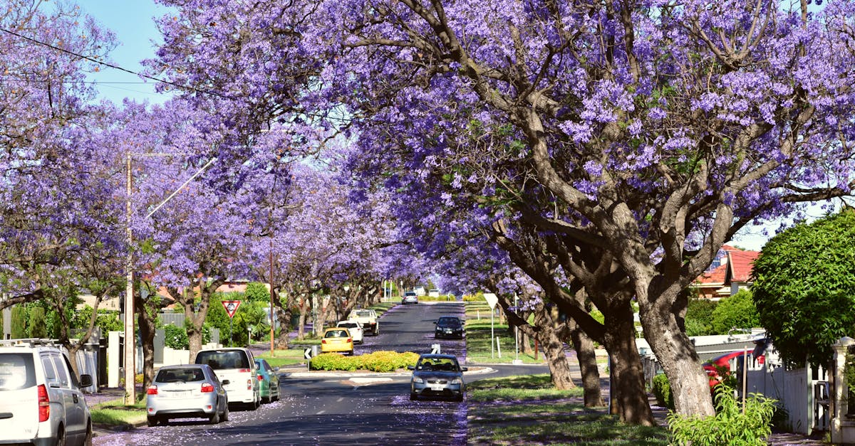 The Effect of Negative Reviews on Electrician Business in Australia